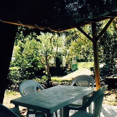 Agriturismo La Mora Asís Exterior foto